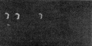 несоответствие зрительного образа и фотографического результата